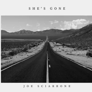 She's Gone - single by Joe Sciarrone