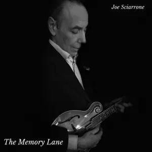 The Memory Lane by Joe Sciarrone